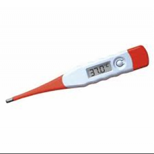 Digital thermometer